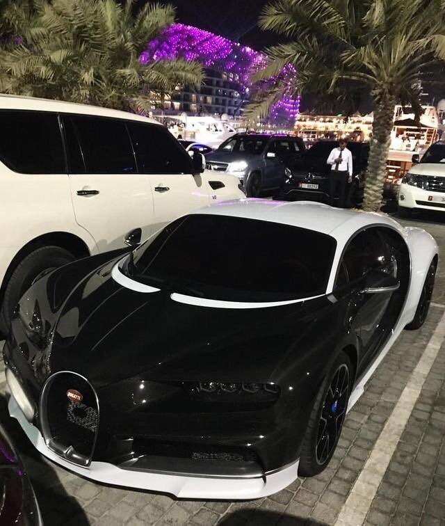 lambo:  check out my store: here