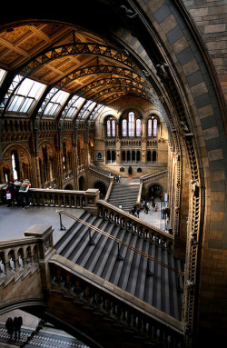 bonitavista:  Natural History Museum, London, Englandphoto via alberto