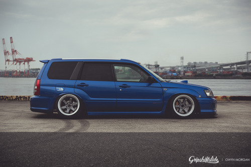 timetochaing:    ♡ FORESTER ♡