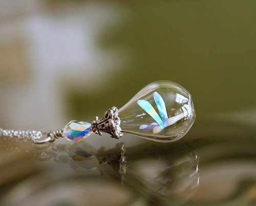 wickedclothes: Glow In The Dark Dragonfly Necklace Inside of this glass bubble is a tiny dragonfly,