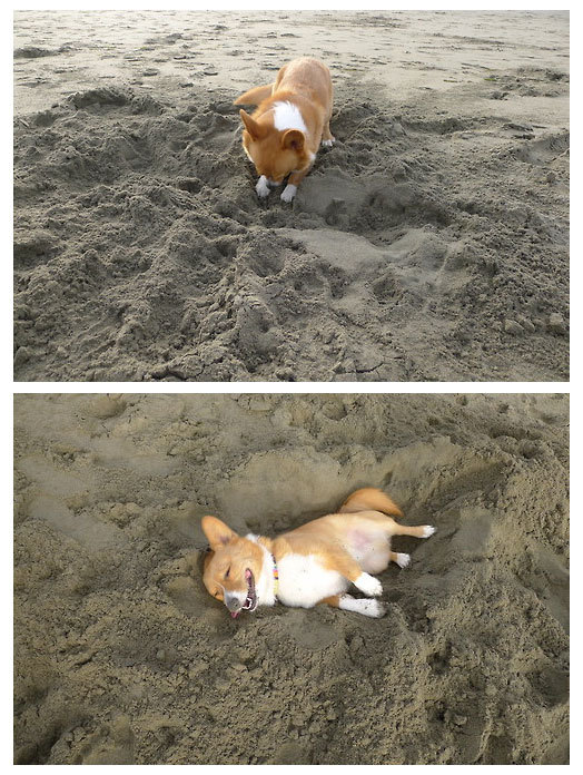 lolfactory:  He made his bed and ofcourse he had to lay in it…☆ funny tumblr