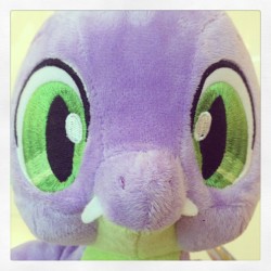 I Finally Got Spike! And He So Cuteeeeee!!!!