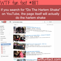 wtf-fun-factss:  Do The Harlem Shake, youtube. -  WTF fun facts  VERIFIED!!!!!!!!!!!!!!!