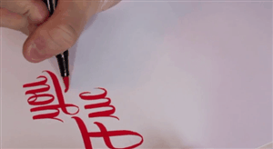 freexcitizen:  xyvch:  Beautiful Rudeness - hand type  I need to try my hand at calligraphy 