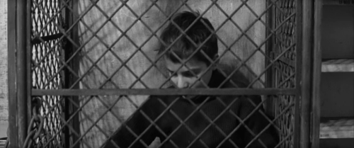 filmandimage:1959 | THE 400 BLOWS | François Truffaut