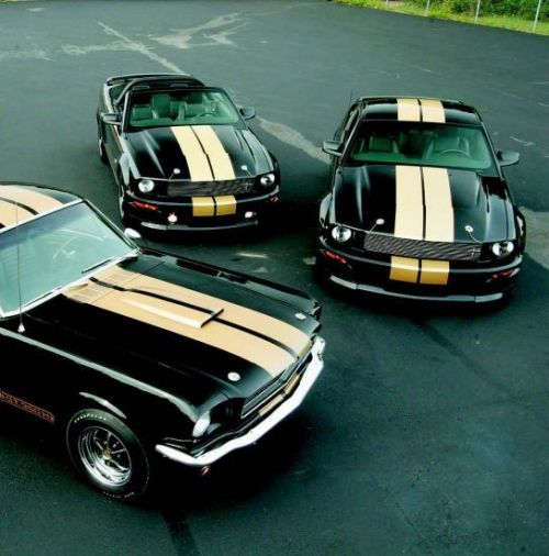 Sex roxtunecars:  In #Ford #Mustang: T top gear pictures
