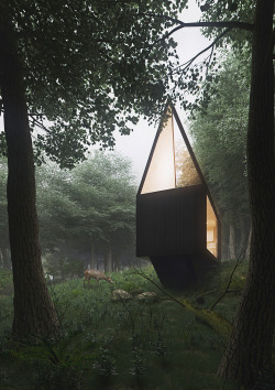 arkitekcher:  Cabin in the Forest  |  Tomek