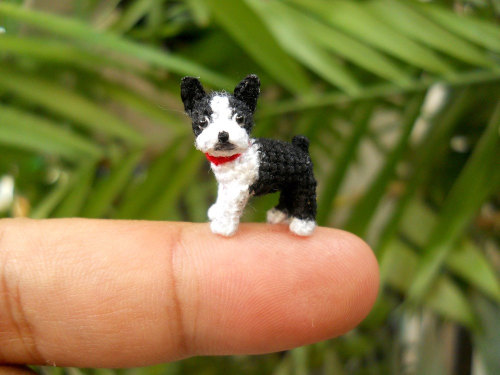moarrrmagazine:Miniature dogs by SuAmi