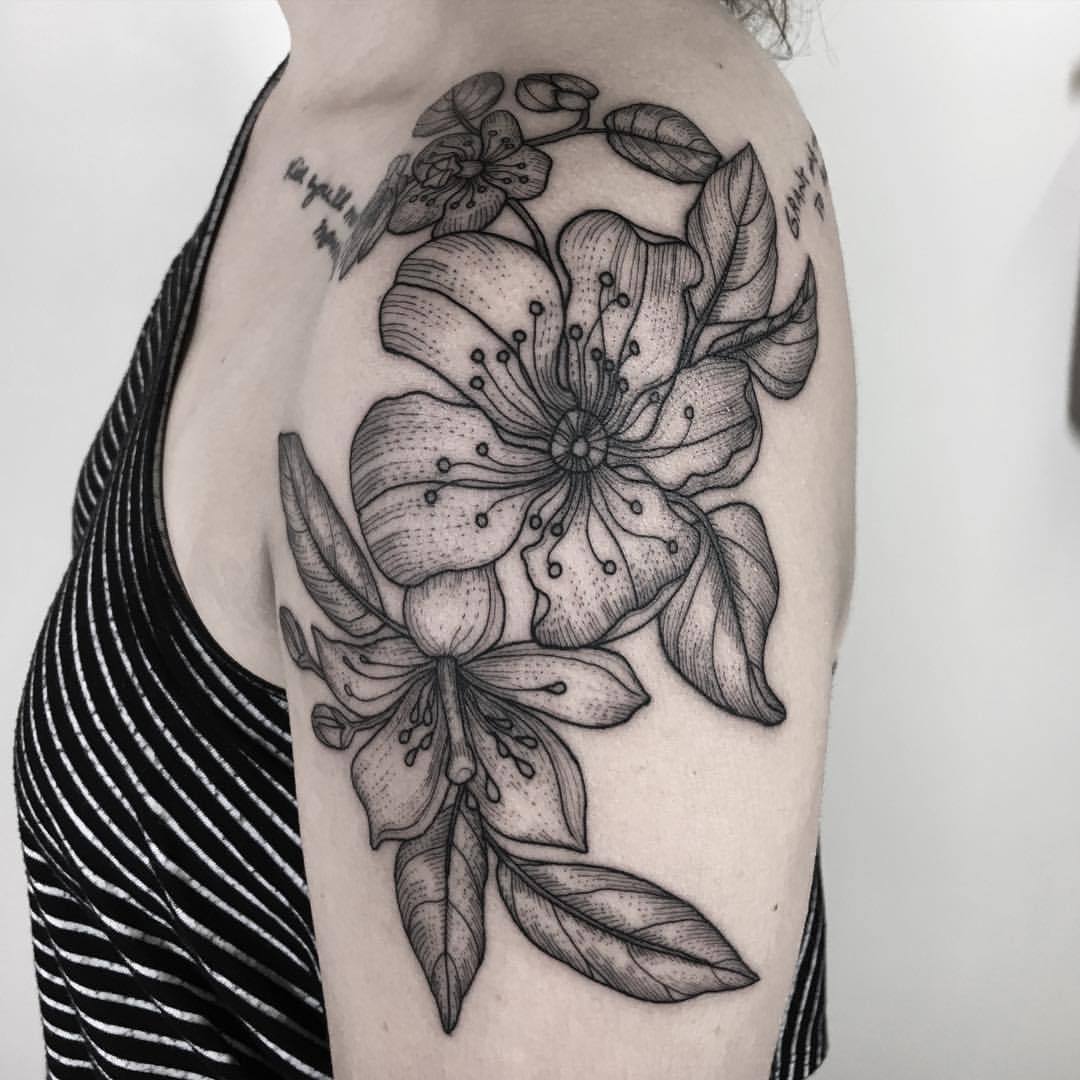 Cherry Blossom Tattoo Meaningcherry blossom tattoo designs StoryTimes
