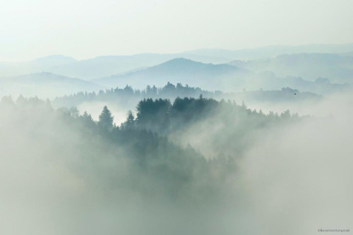 foxmouth:The Fog, 2014 | by Kilian Schönberger