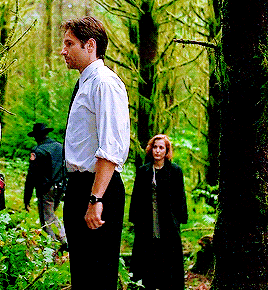 deschanels: 5x04 | 10x03 - smol scully finally grew