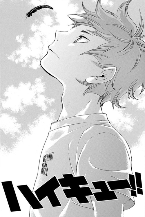 pigeonboyfriend:  Haikyuu!! Volumes 1-9 → Bonus Illustrations 