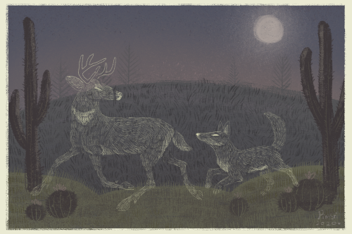 Buck and Coyote Spirit playing under the moon!Greeting card version and illustration only version &l