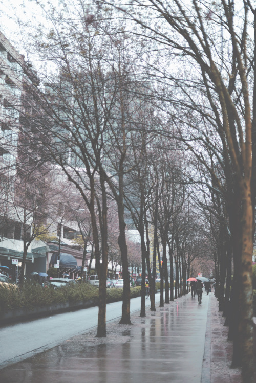 teapalm:  Vancity (Tasha Marie)