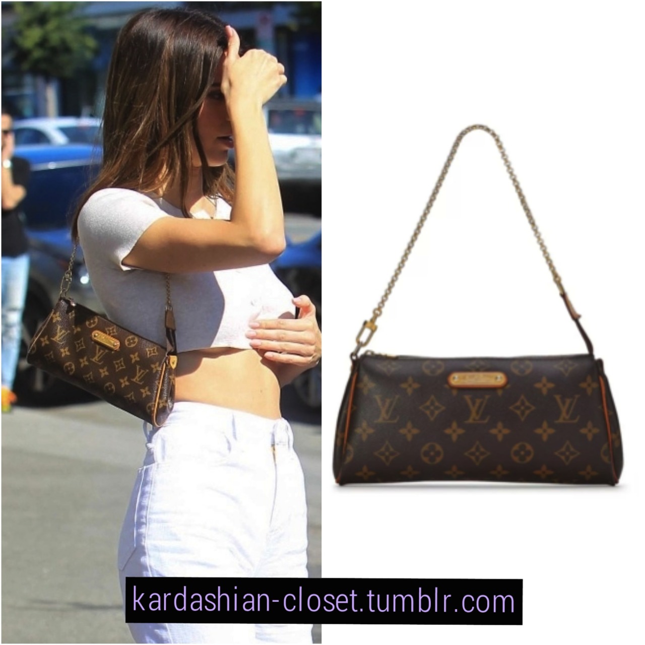 kendall jenner lv bag