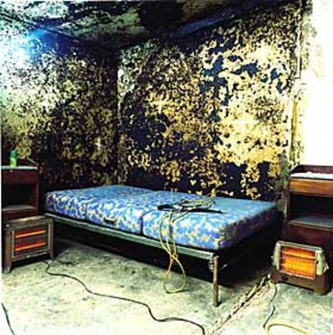 enucleator:  Some of the photos taken in Armin Meiwes' house, where he killed and