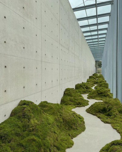 lionfloss:Moss walkway for Cartier by STUDIO porn pictures