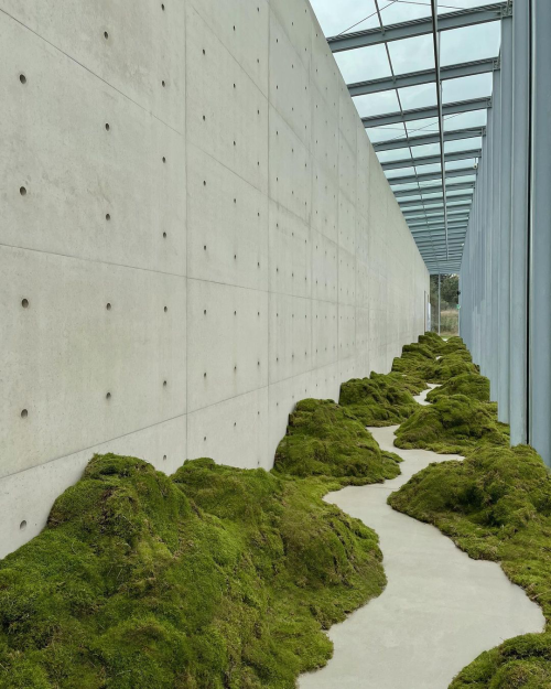 Porn photo lionfloss:Moss walkway for Cartier by STUDIO