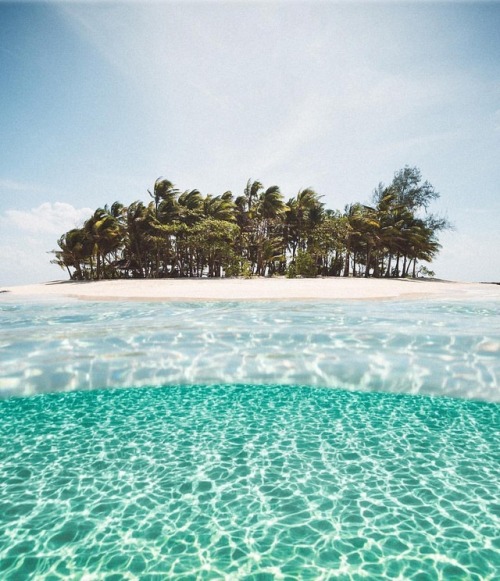 OCEAN OF LOVE