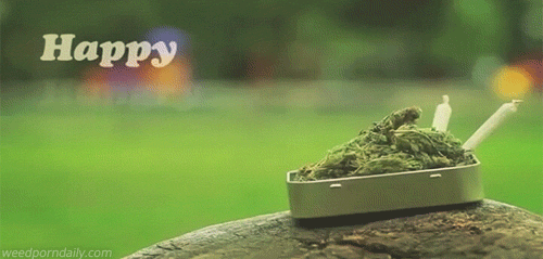 weedporndaily:  Legalize it 