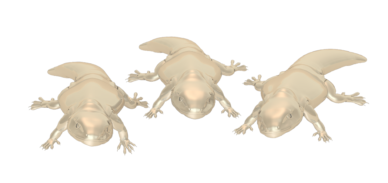 Voyager Grafx — Silver Jubilee Silver salamanders. Transparent...