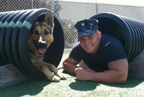somemenarejustbetter:  Both are pretty adorable - and I bet they’re both “good boys". 