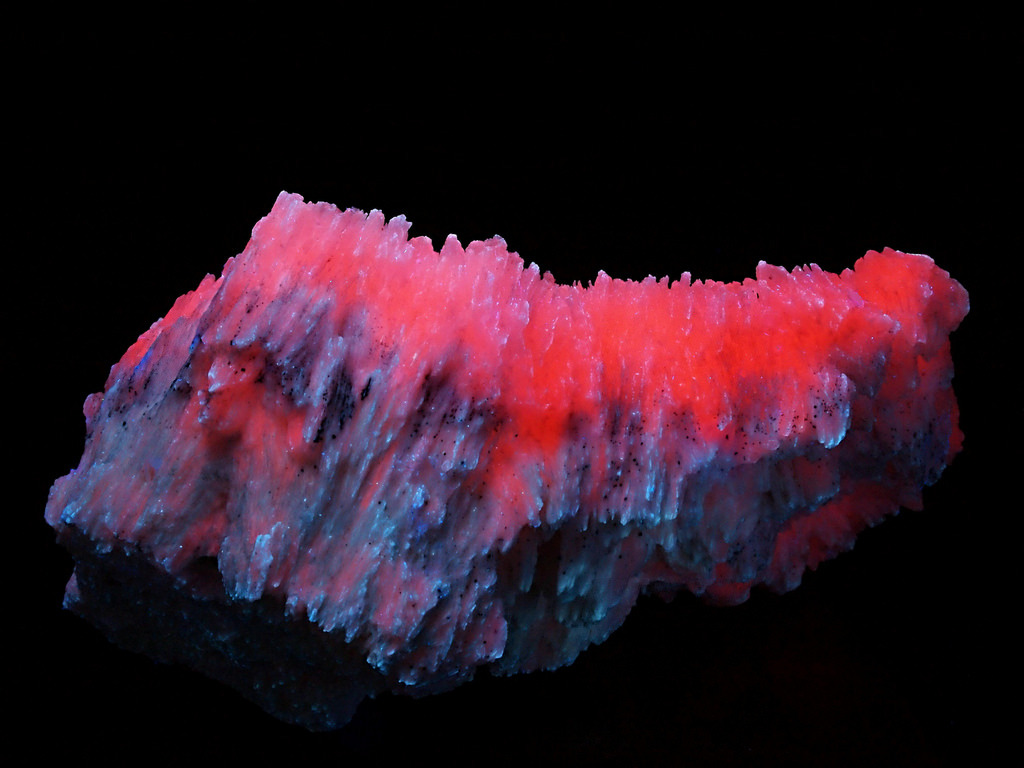 themineralogist:  Manganocalcite under Ultraviolet (by someHerrings) 