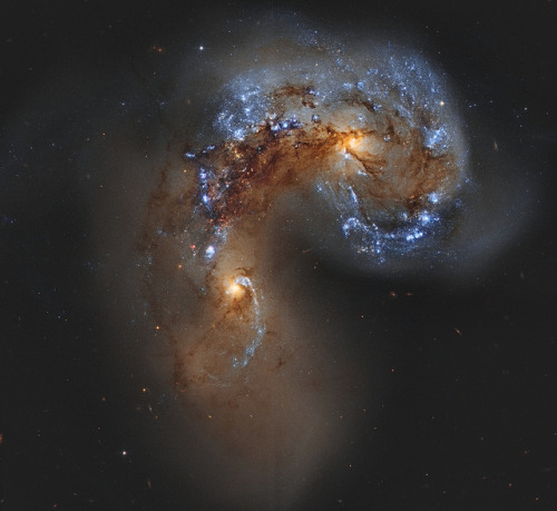 breathesuniverse: NGC 4038 Colliding Galaxies - Hubble Legacy Archive (EXPLORED) by John.R.Taylor on