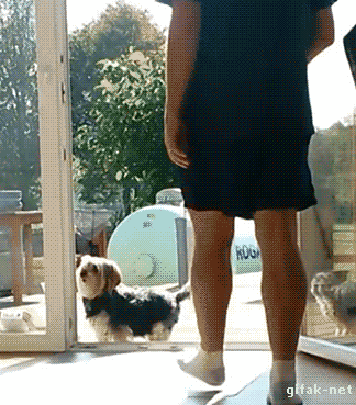 catsdogsblog:  Source http://www.funny-joke-pictures.com