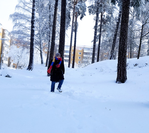 ogrefairy: Snödag i Sverige~So it snowed a lot the other day so @rattyarts and I went on an adventur