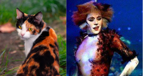 Jelicle Cats As Real Cats! The Queens