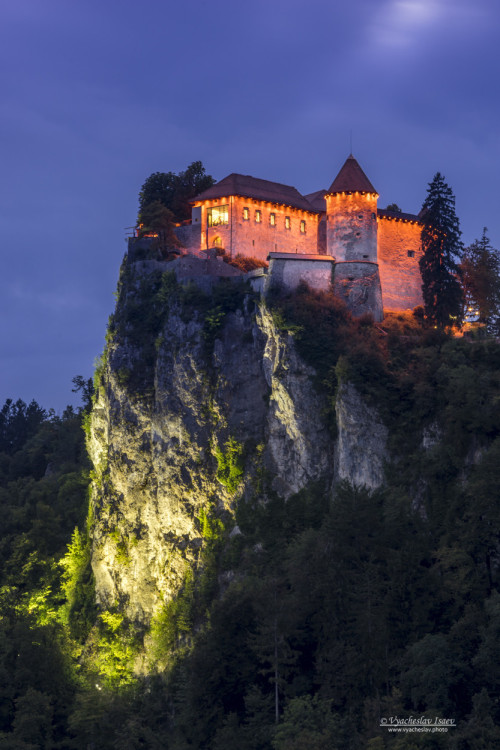 legendary-scholar:    Castle Bled, Slovenia.