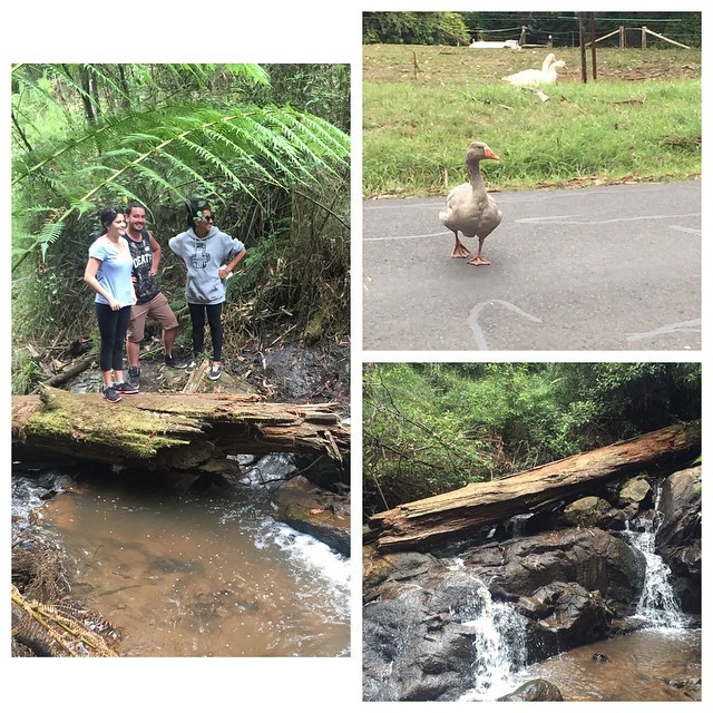 Made a new friend on our adventures! #goosechase 💁😂 @amelia9876 @gavinconole