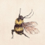 fistfuls-of-bees