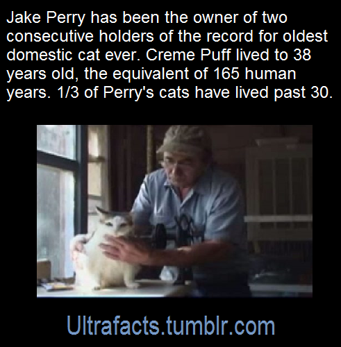 thaxted:jhameia:theunfortunatelesbian:legovasavouchi:ultrafacts:Source: [x] Click HERE for more fact