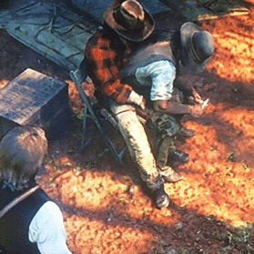 cloudfreed:  nsfwredead:  What kinda gay ass yeehaw glitch is this 😂😂😂😂   Wtf this is cute. Don’t even talk to me if you won’t sit on my lap 