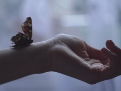 STRANGE AND BEAUTIFUL