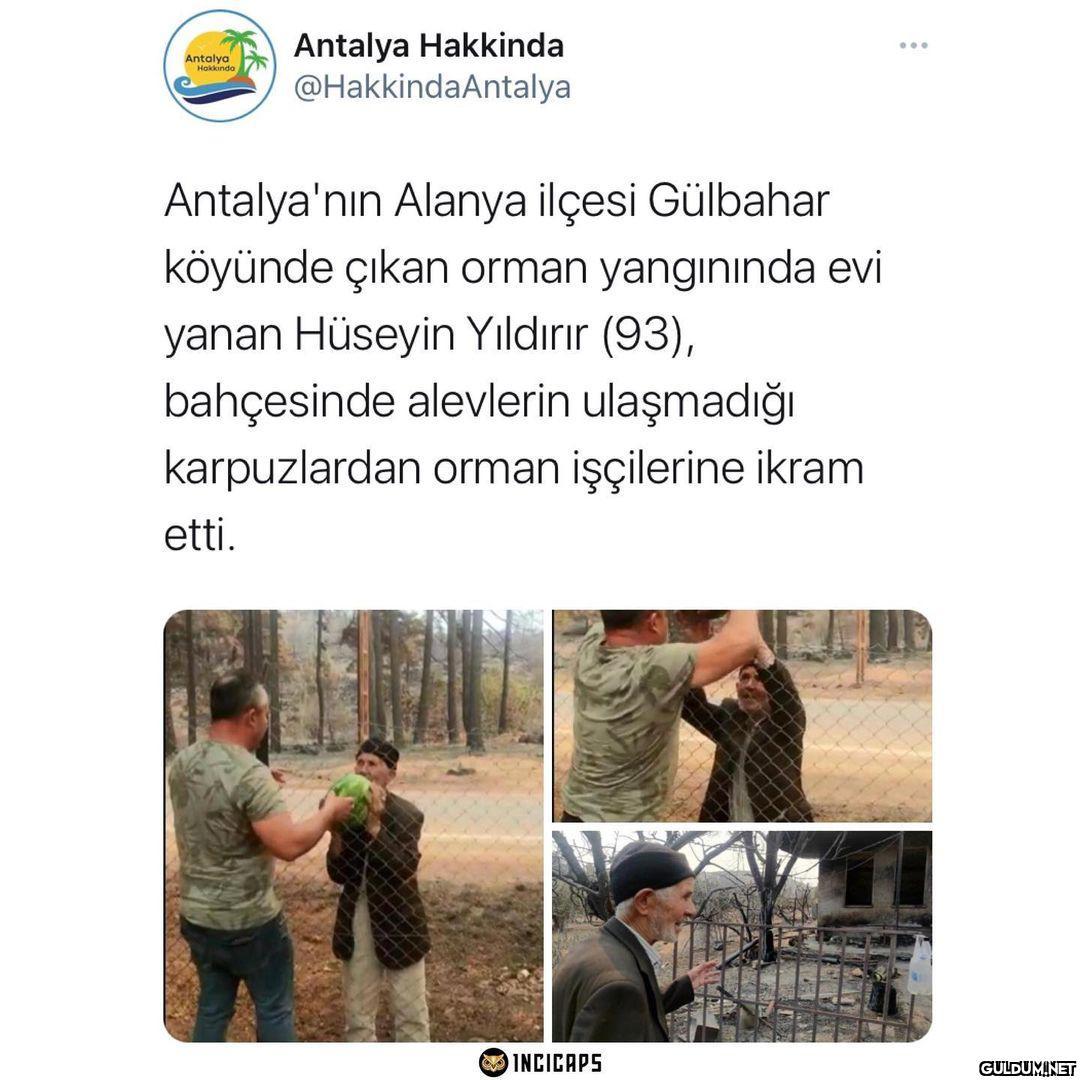 Bir tek karpuzu kurtulmuş...