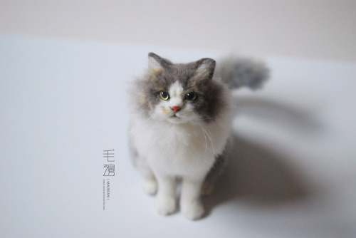 ▋ Persian cat ( custom-made ) Sculpture approximately 10 x 16 x 17 cm ( not including the tail )