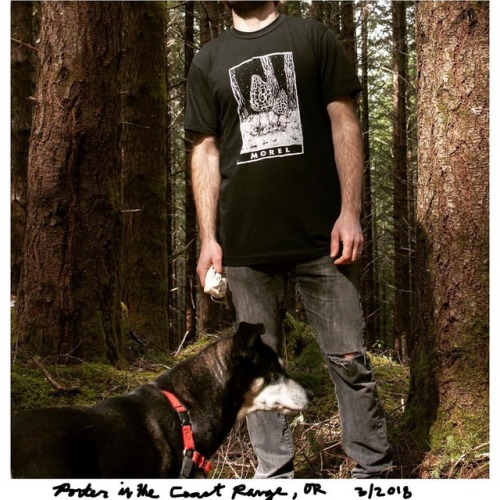 Doug Firs + My Dog Porter + Spring Sunshine = ⚡️✨.Last March in the Oregon Coast Range. Morel Mushro