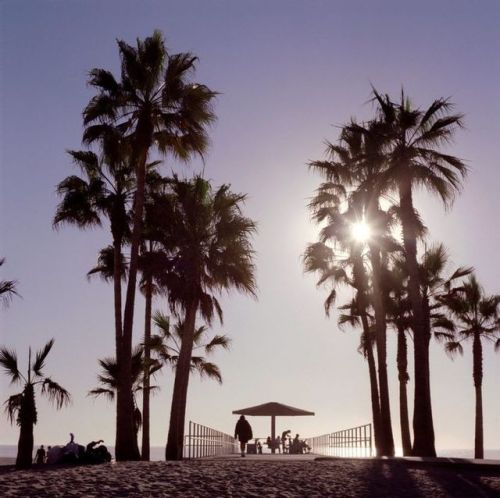 U.S.A. Los Angeles. 2002.Venice Beach. Peter Marlow