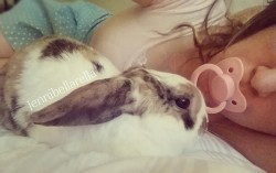 jennibellarella:  This is one of my pet Bunnies!