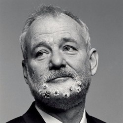 jackthesnipperblog:  So apparently having a #flowerbeard is in right now. If #billmurray is doing it, it must be cool. We want to see more weird things in beards…….c’mon bearded friends, entertain us! 