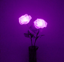 pastel–purple:by @hide-zone