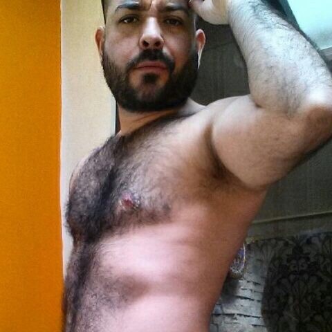 Hairy Mucle Jock Pit Bears