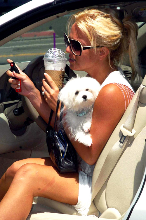 bringbackmyteenageyears: September 2004, Shopping in Beverly Hills with her dog Lacey.