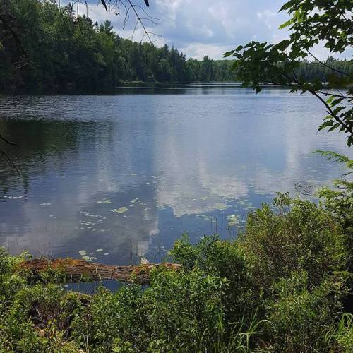 lavenderwaterwitch: Algonquin Park - Ontario Canada