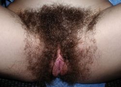 allhairygirls:  Another perfect hairy pictures