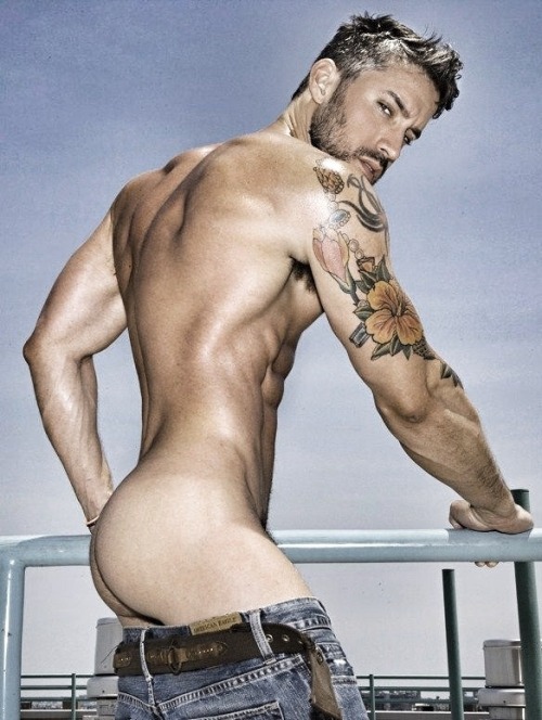 Gaydreams...