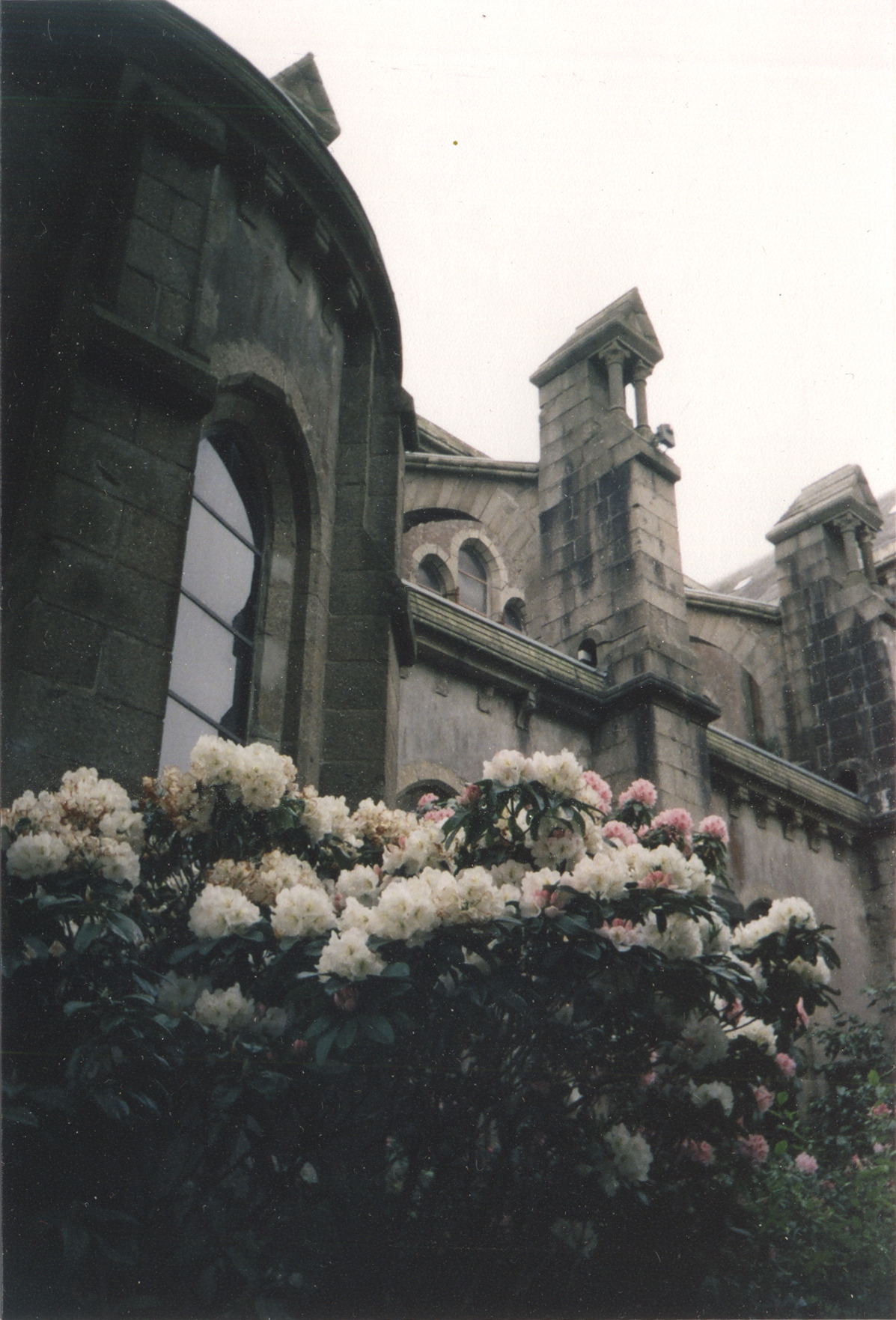 floralls:  submitted by  cccoldfeet :  St.Martin by Zerolexa   